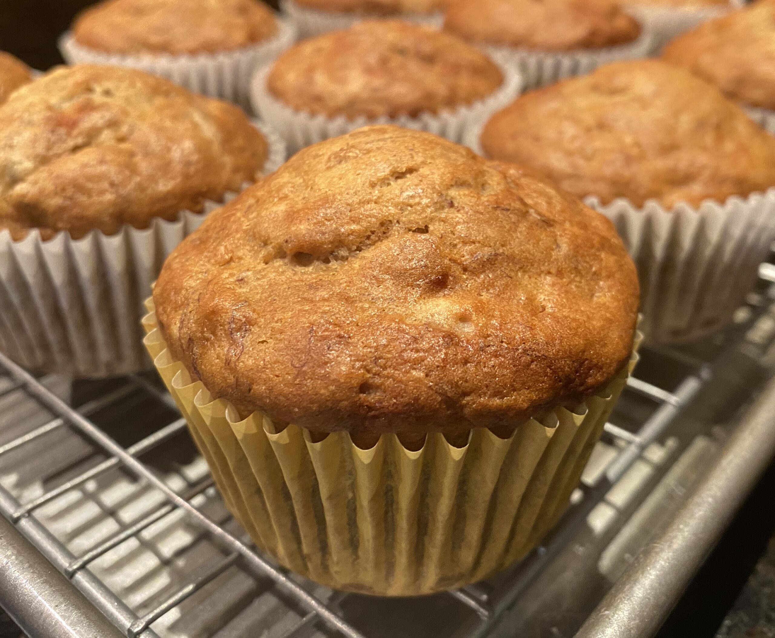 Banana Muffins